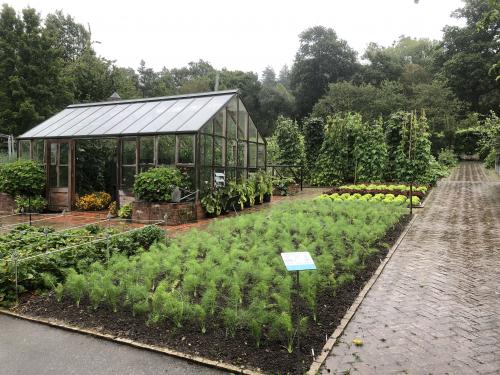 One months rain in just 24 hours but we still enjoyed a great day out at RHS Rosemoor